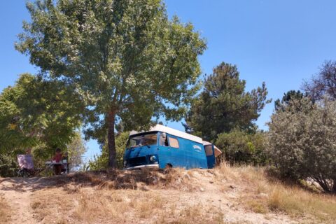 Bzzzonder free in a J7