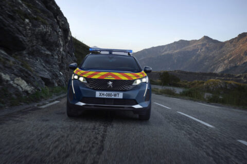 Clean Peugeots for the Gendarmerie